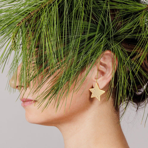 Orecchini pin stella e cristalli