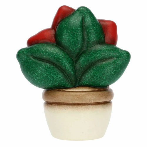 Vasetto stella di Natale mini