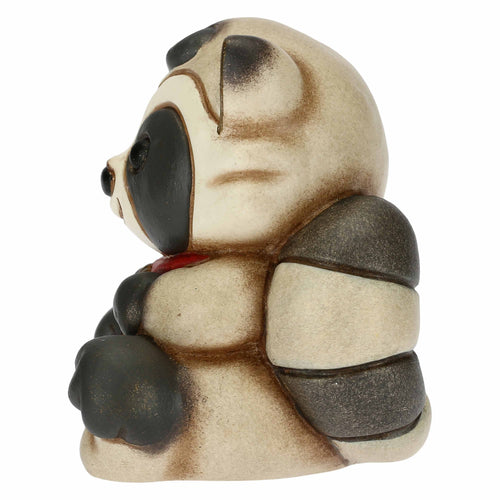 Procione Tiki Raccky mini