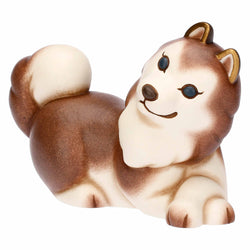 Husky Alaska in ceramica, medio