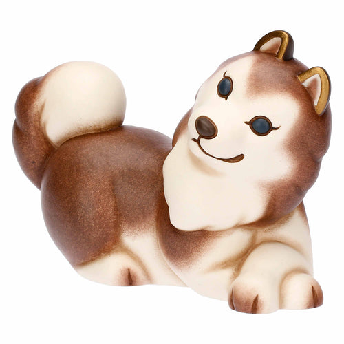 Husky Alaska in ceramica, medio