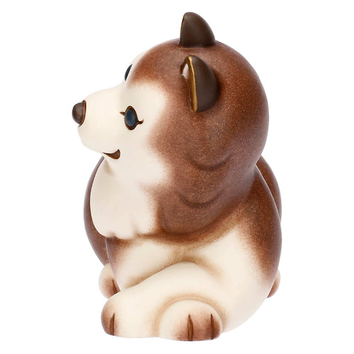 Husky Alaska in ceramica, medio
