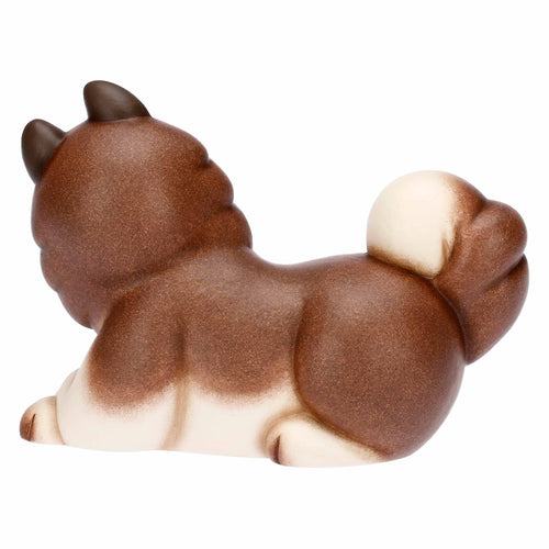 Husky Alaska in ceramica, medio