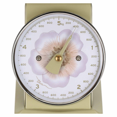 Bilancia analogica, Bloom