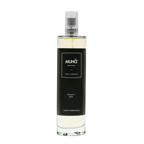 Diffusore Spray Acqua e Sale
