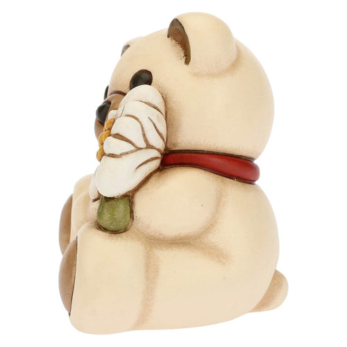 Teddy stella alpina