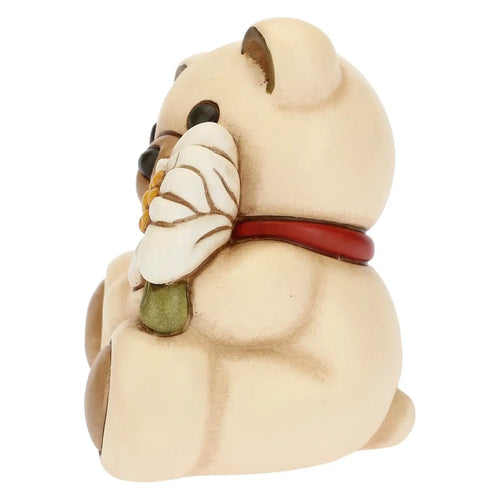 Teddy stella alpina