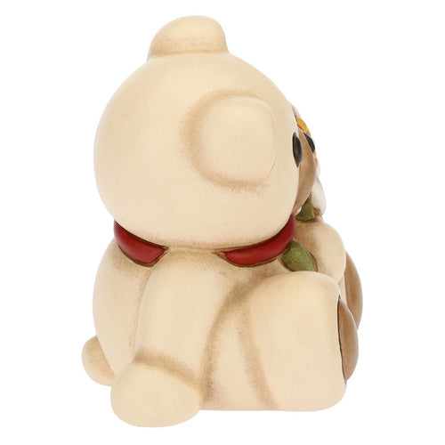 Teddy stella alpina