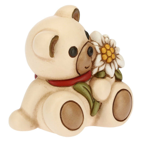 Teddy stella alpina