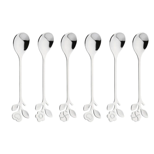 Set 6 cucchiaini